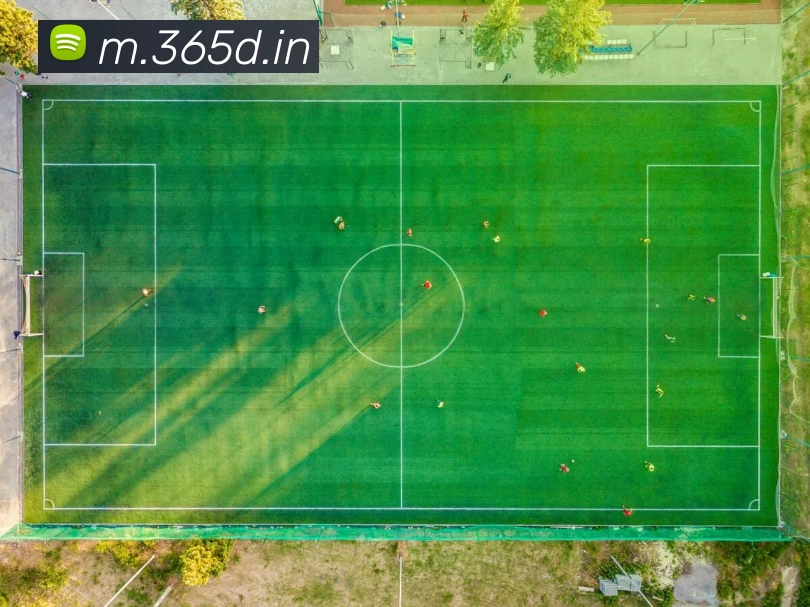 365bet足球APP 封面图